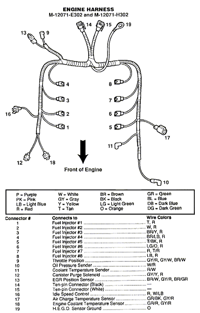 Www Veryuseful Commustangtechengineimagesmustangengineharness Gif Main Efi Wiring Harness Diagram